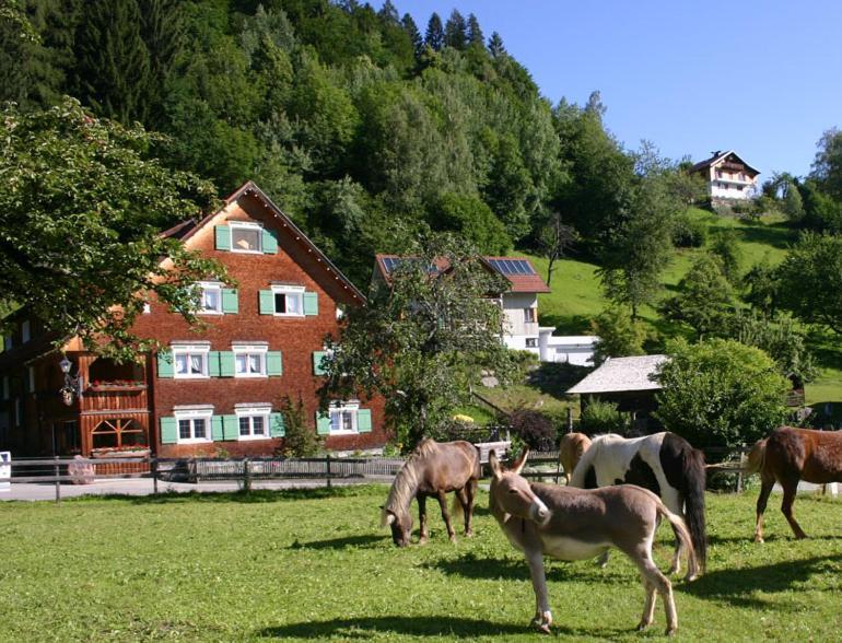Hotel Gasthaus Schaefle Buerserberg Luaran gambar