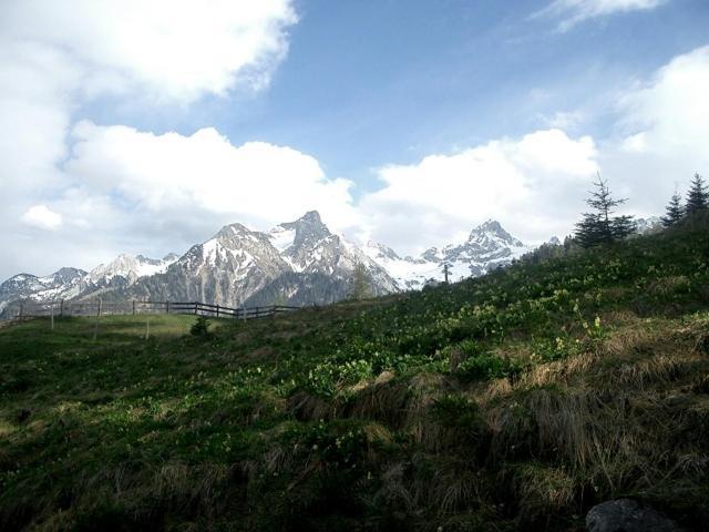 Hotel Gasthaus Schaefle Buerserberg Luaran gambar