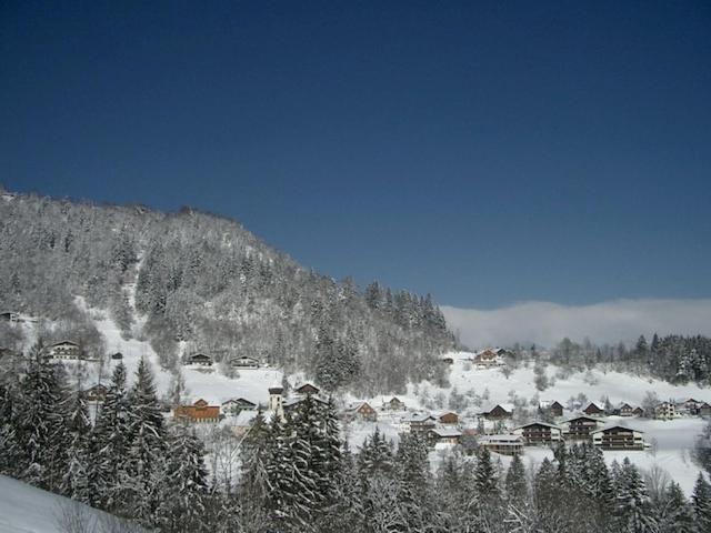 Hotel Gasthaus Schaefle Buerserberg Luaran gambar